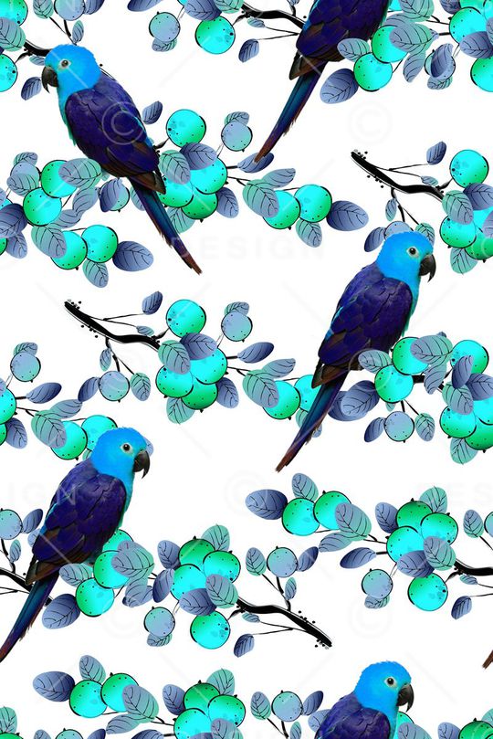 花鸟印花华亿平台图片