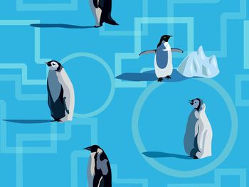 冰印花华亿平台图片