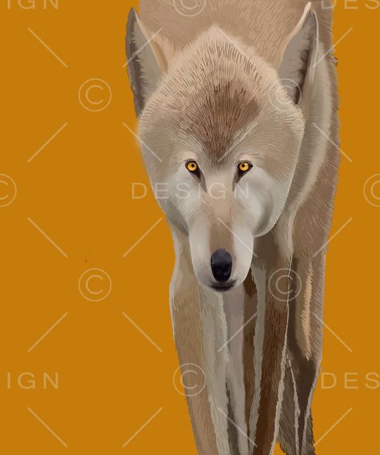 时尚印花华亿平台图片