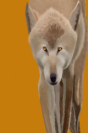 时尚印花华亿平台图片