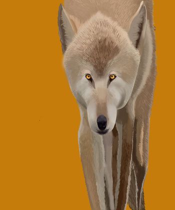 时尚印花华亿平台图片