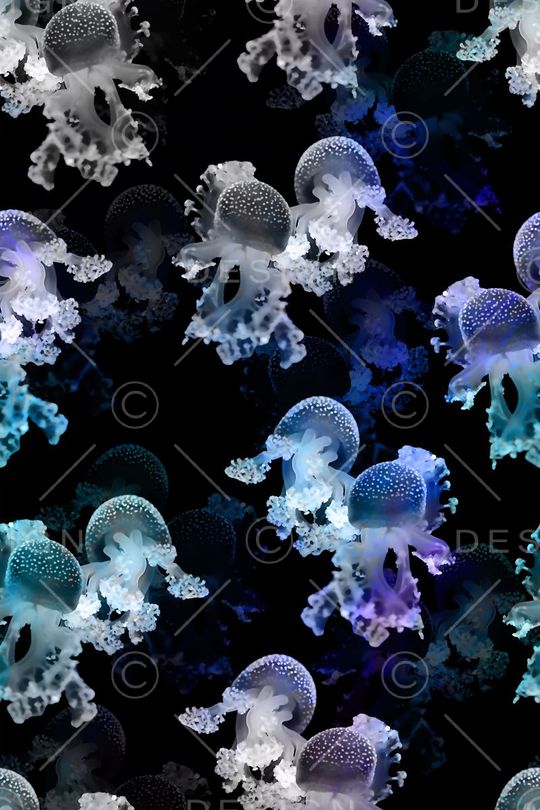 海洋生物印花华亿平台图片