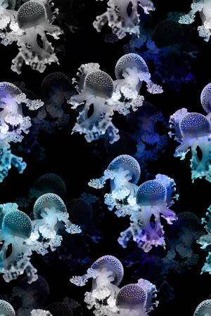 海洋生物印花华亿平台图片