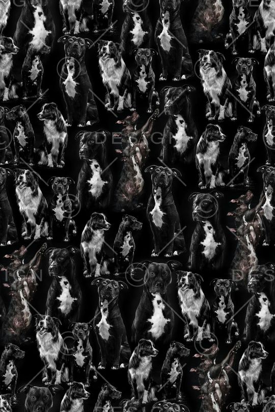 动物印花华亿平台图片