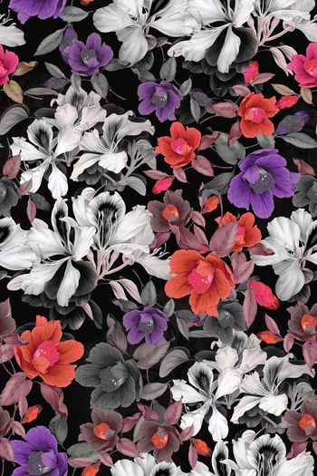 577488-花卉花朵女装家纺