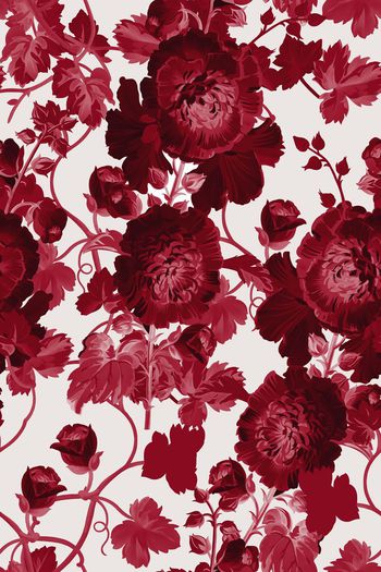 577501-大花朵玫瑰花蓝色植物枝叶2牡丹花