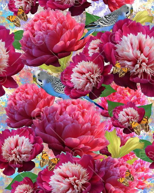 零点--女装印花华亿平台图片