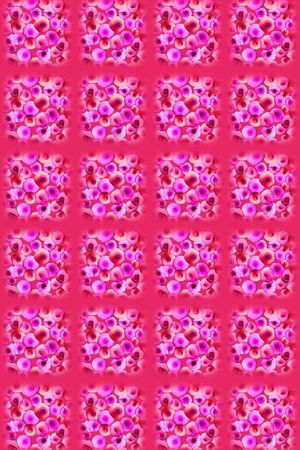 传统时尚印花华亿平台图片