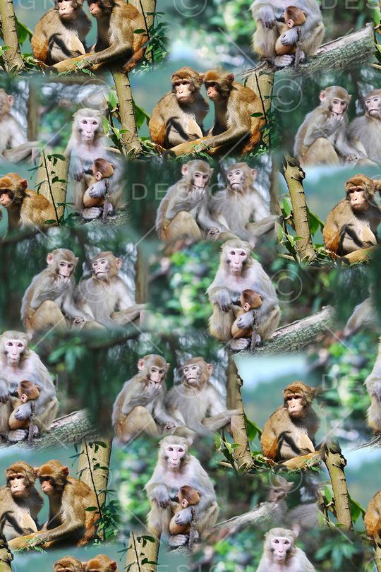 照片景观印花华亿平台图片