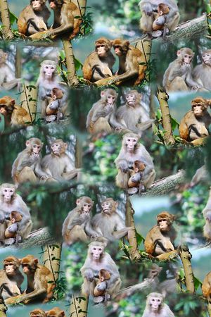 照片景观印花华亿平台图片