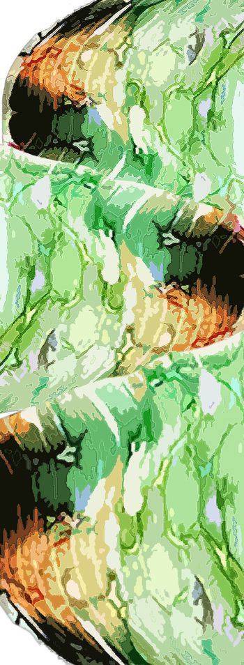 577835-迷彩艺象丝巾斑斓