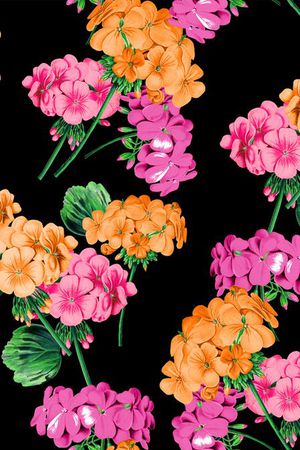 GUCCI印花华亿平台图片