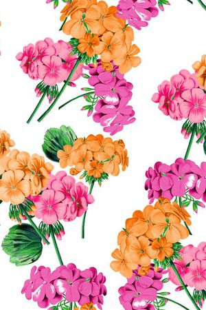 GUCCI印花华亿平台图片