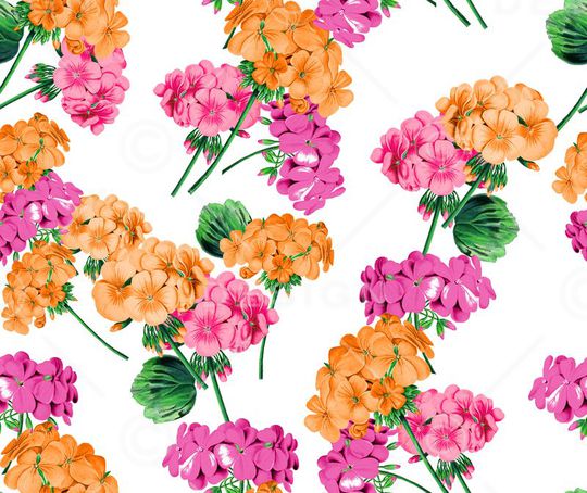 GUCCI印花华亿平台图片