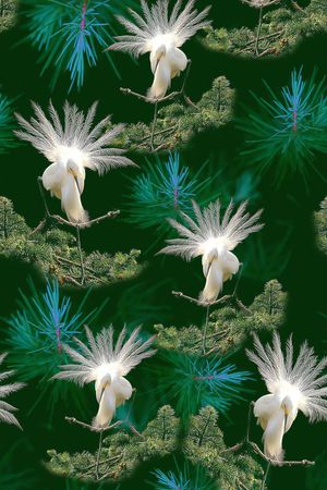 旗袍印花华亿平台图片