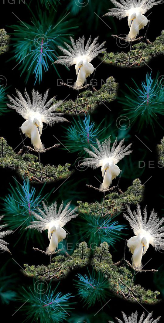 旗袍印花华亿平台图片