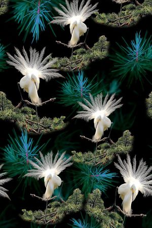 旗袍印花华亿平台图片