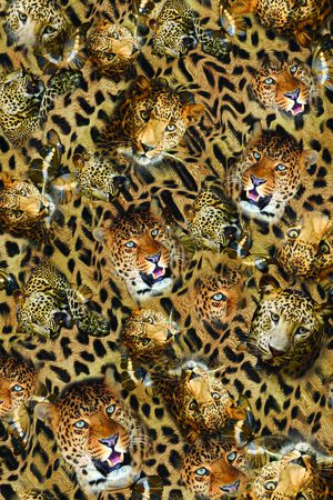 豹纹印花华亿平台图片