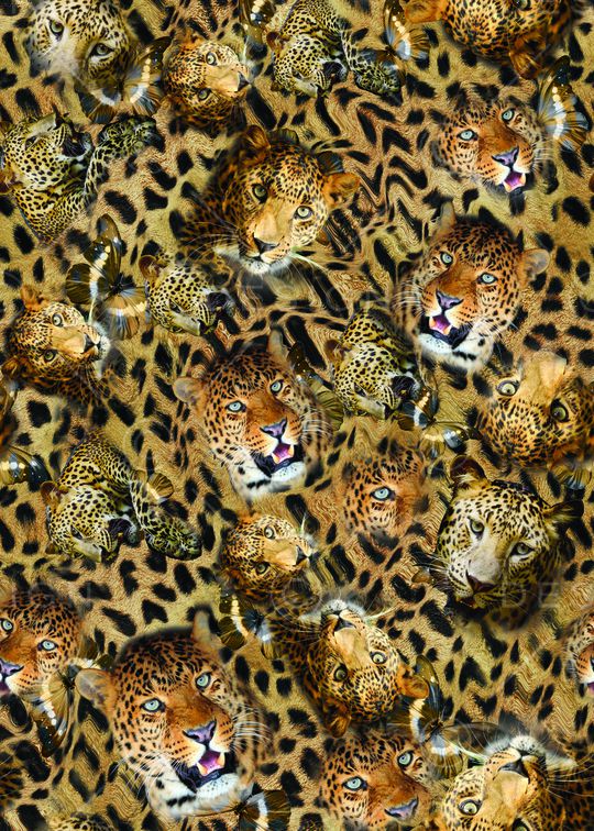 豹纹印花华亿平台图片