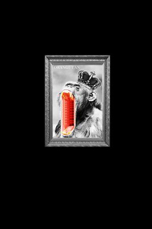 大牌印花华亿平台图片