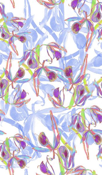 578795-花艺象系列