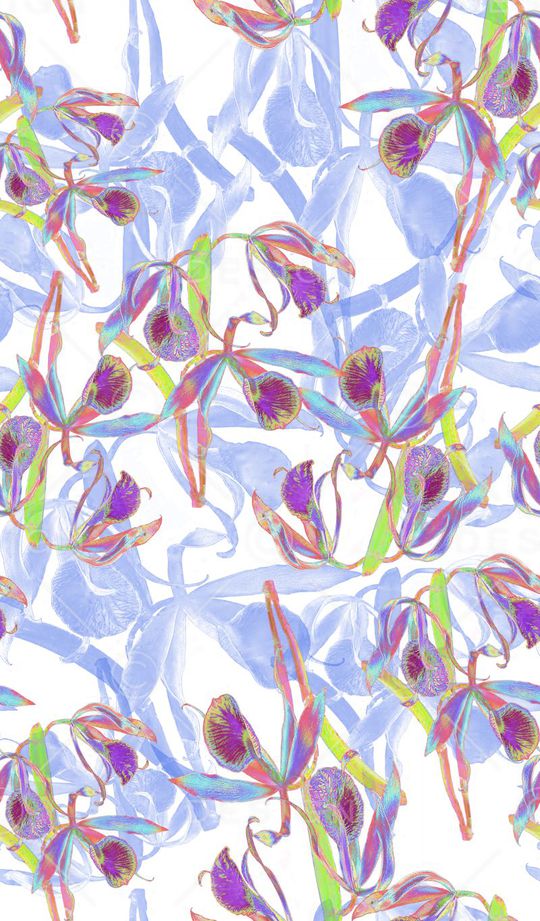 鲜花大街印花华亿平台图片