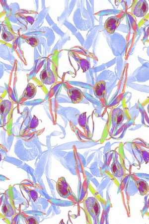 鲜花大街印花华亿平台图片