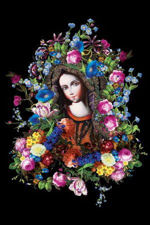 最新时尚流行印花华亿平台图片