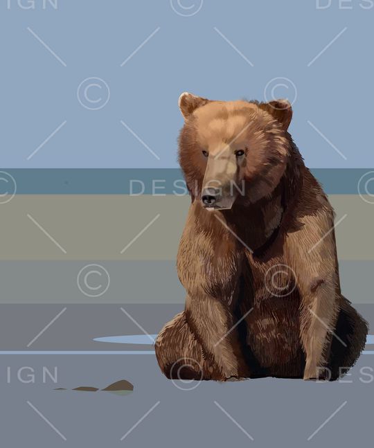 流行印花华亿平台图片