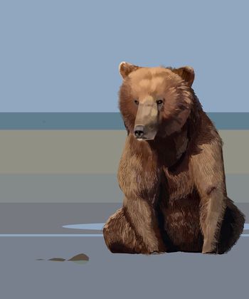 流行印花华亿平台图片