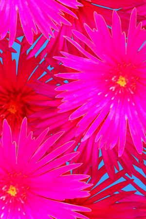 复古印花华亿平台图片