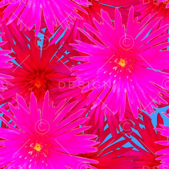 复古印花华亿平台图片