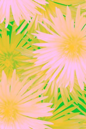 复古印花华亿平台图片