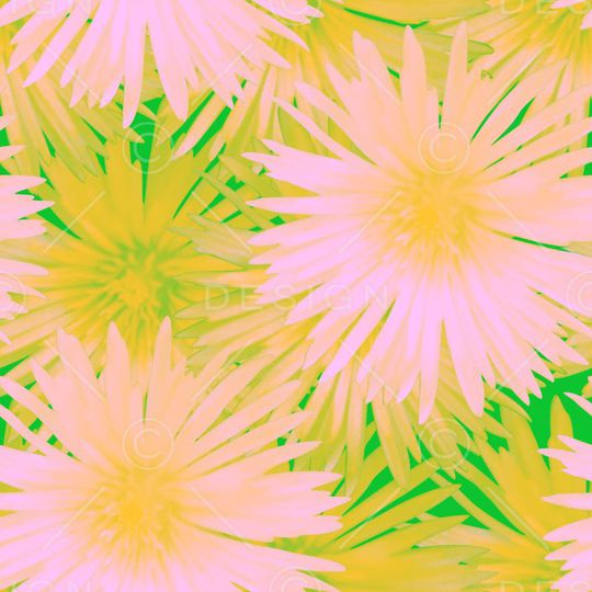 复古印花华亿平台图片