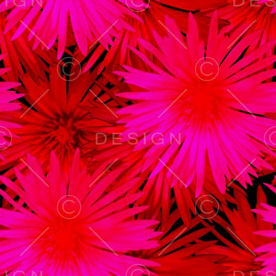 复古印花华亿平台图片