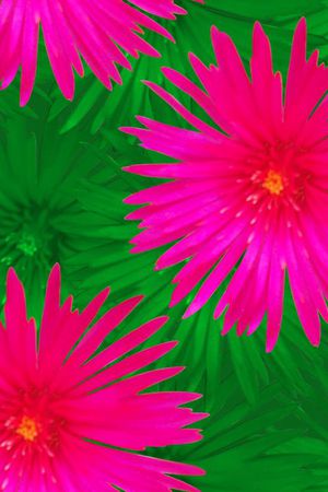 复古印花华亿平台图片