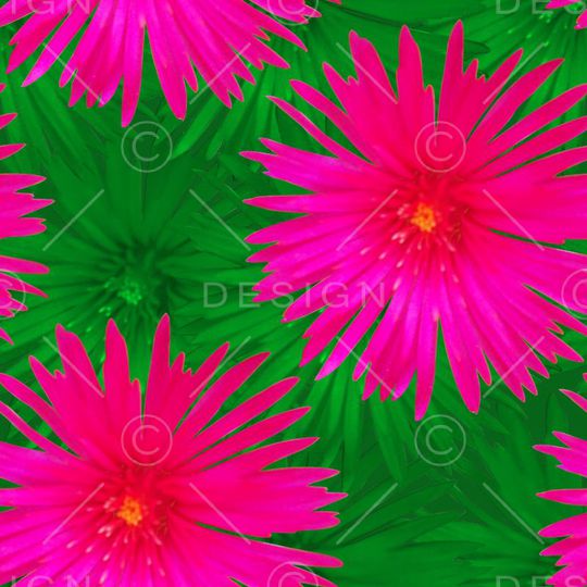 复古印花华亿平台图片