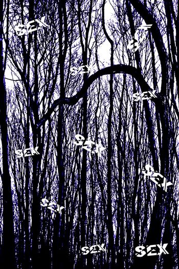 579434-潮流抽象树影英文