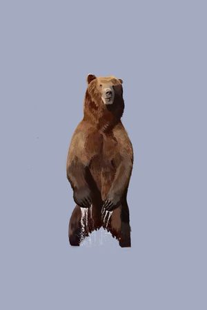 时尚印花华亿平台图片