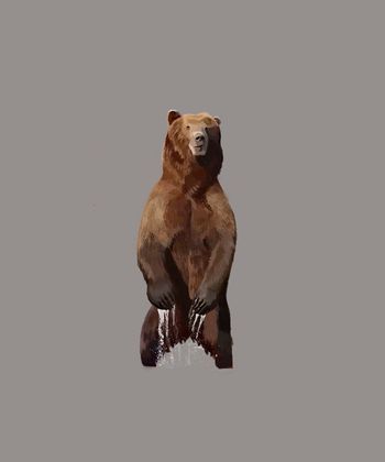 579540-站立熊与纯色与花