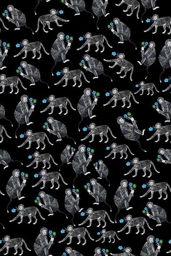 579601-monkey猴子献花