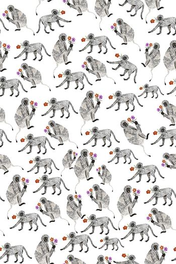 579602-monkey猴子献花