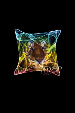 时尚印花华亿平台图片