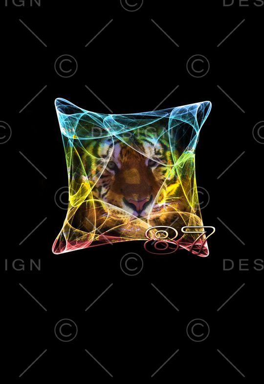 时尚印花华亿平台图片