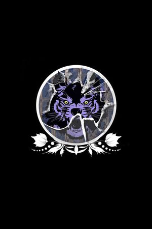 时尚印花华亿平台图片