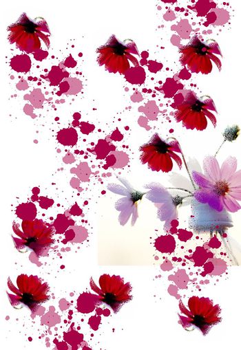 休闲风印花华亿平台图片