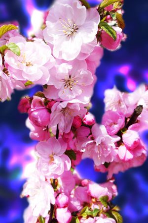 流行时尚印花华亿平台图片