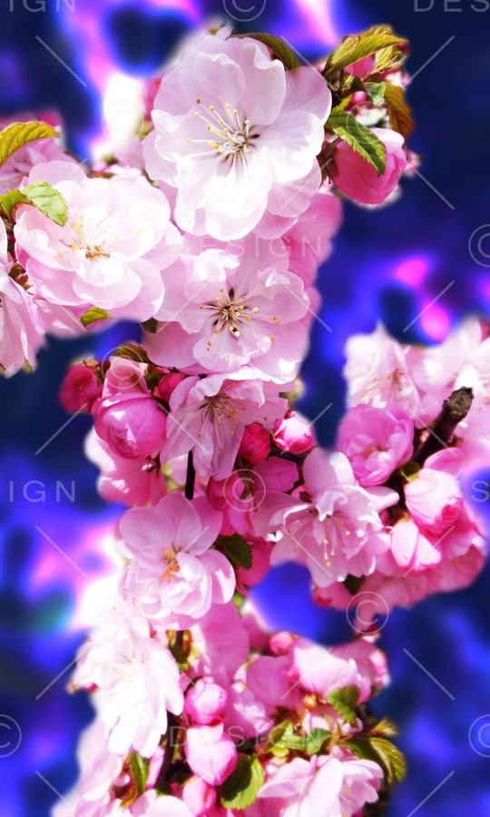 流行时尚印花华亿平台图片