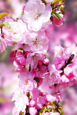 流行时尚印花华亿平台图片