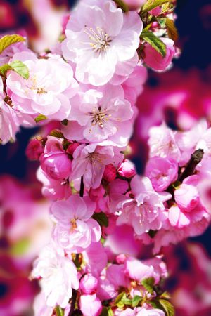 流行时尚印花华亿平台图片